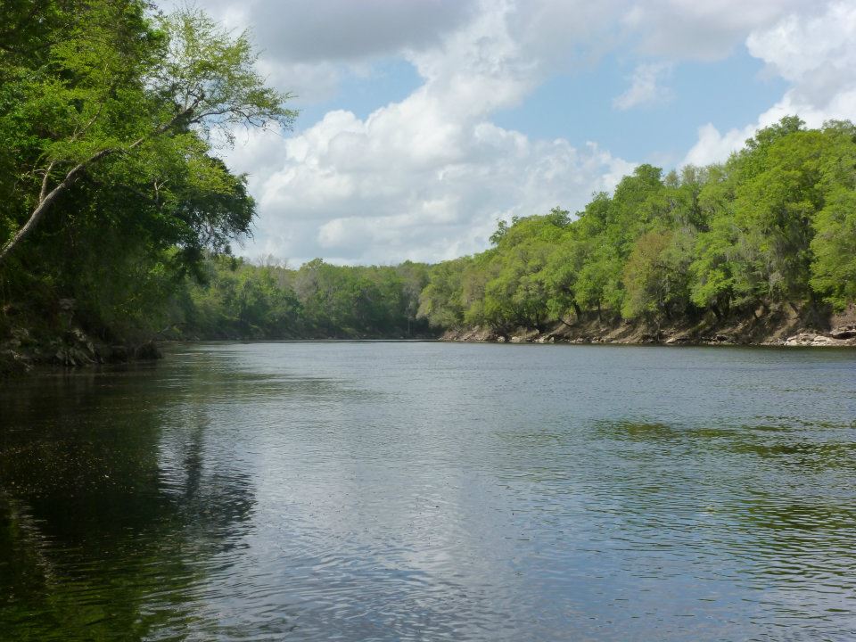 suwanee-river